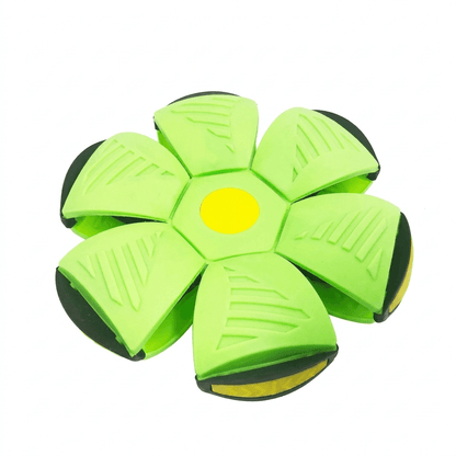 PopFly™ – Flying Pop-Up Ball for Outdoor Play
