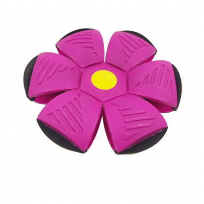 PopFly™ – Flying Pop-Up Ball for Outdoor Play