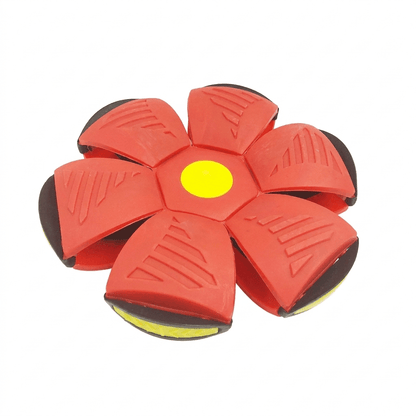 PopFly™ – Flying Pop-Up Ball for Outdoor Play